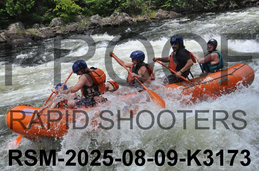 RSM-2025-08-09-K3173