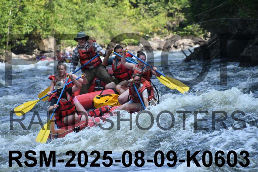 RSM-2025-08-09-K0603