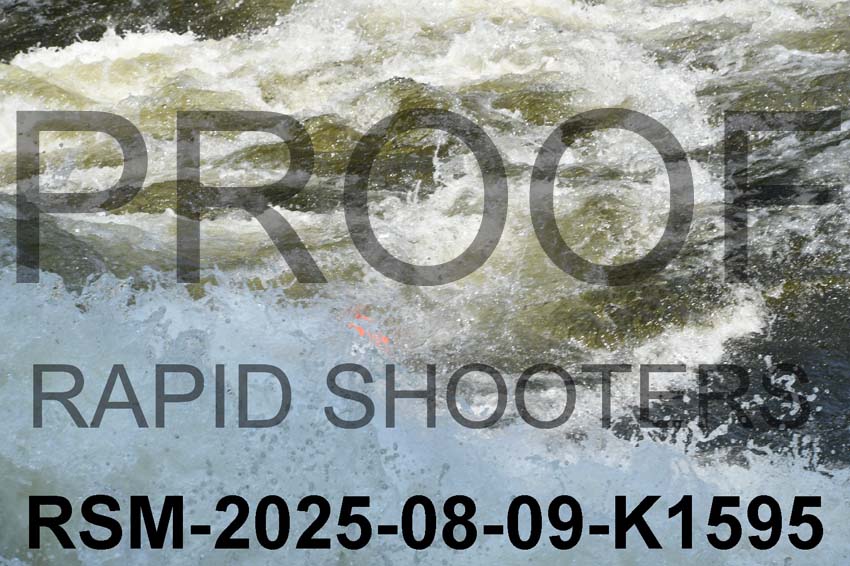 RSM-2025-08-09-K1595