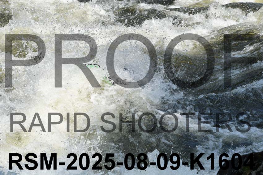 RSM-2025-08-09-K1604