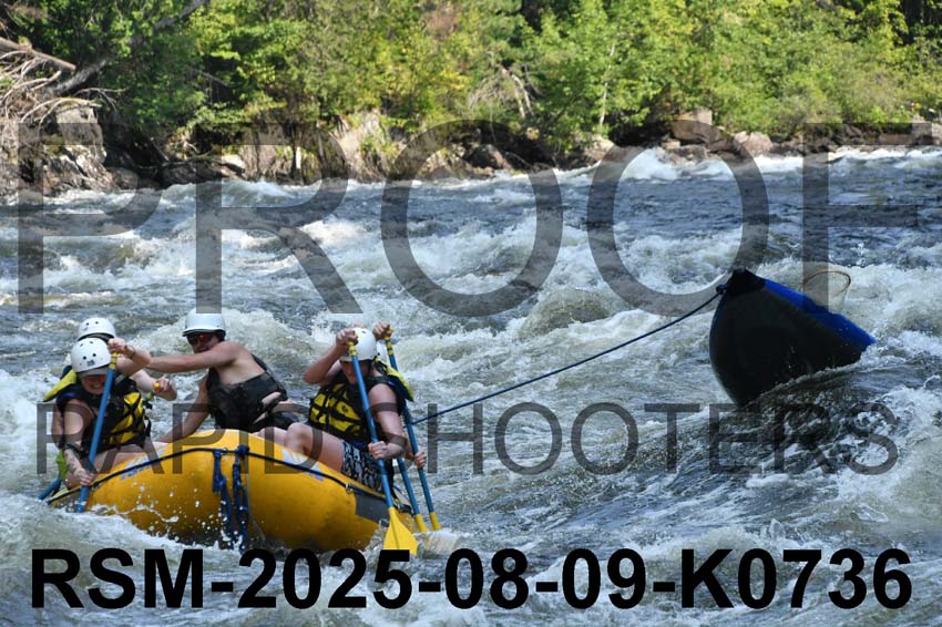 RSM-2025-08-09-K0736