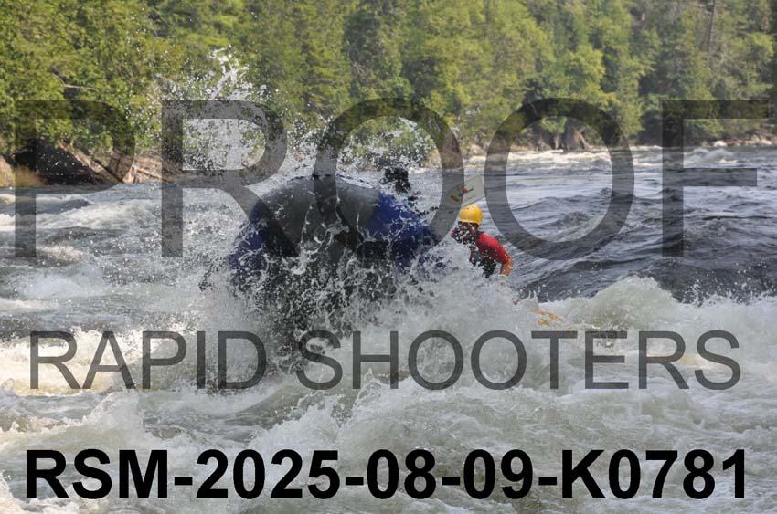 RSM-2025-08-09-K0781