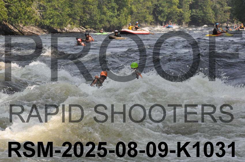 RSM-2025-08-09-K1031