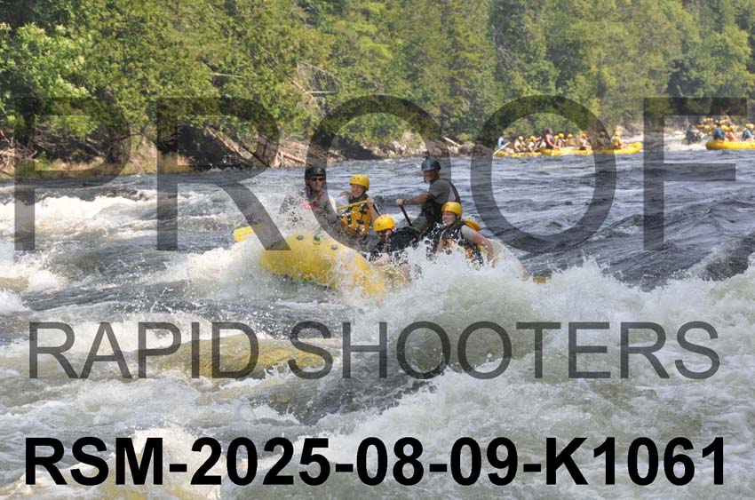RSM-2025-08-09-K1061