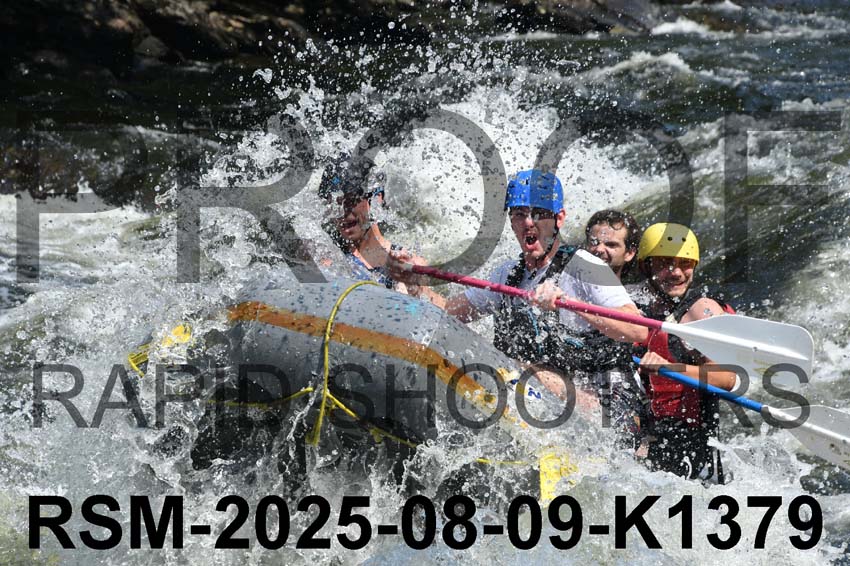 RSM-2025-08-09-K1379