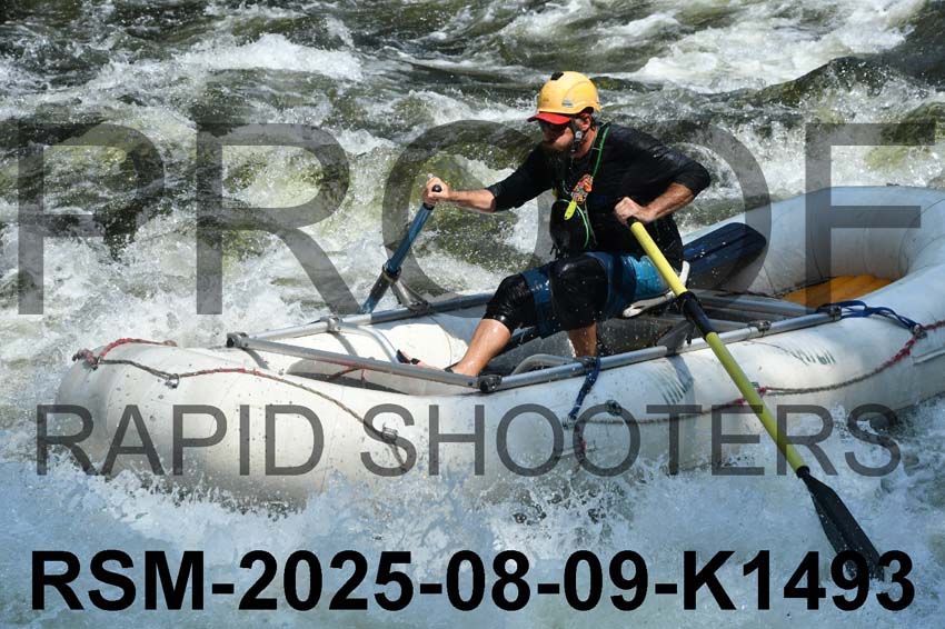 RSM-2025-08-09-K1493
