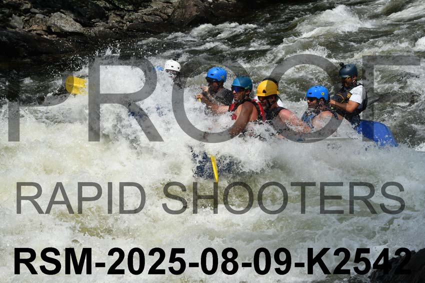 RSM-2025-08-09-K2542