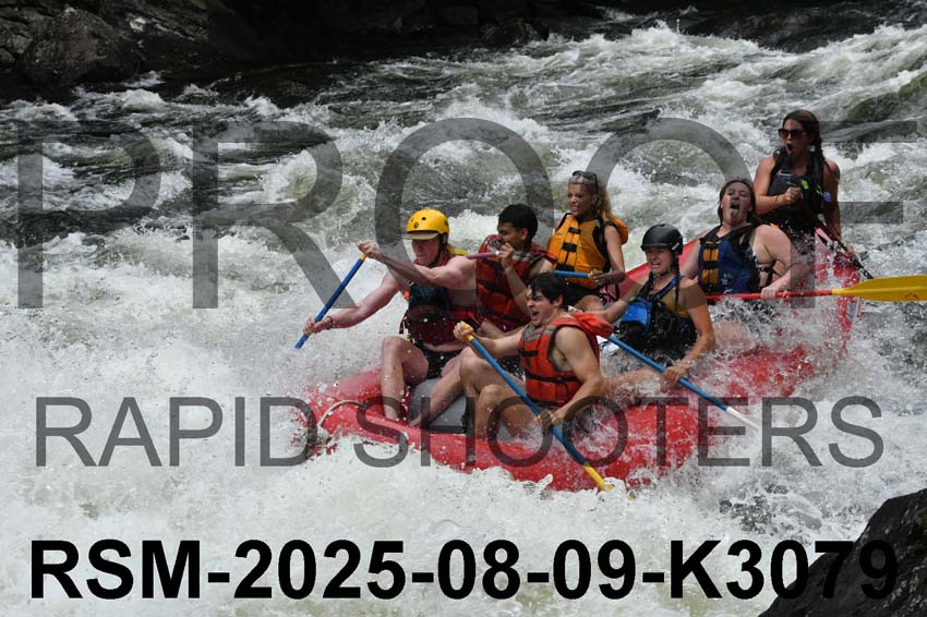 RSM-2025-08-09-K3079