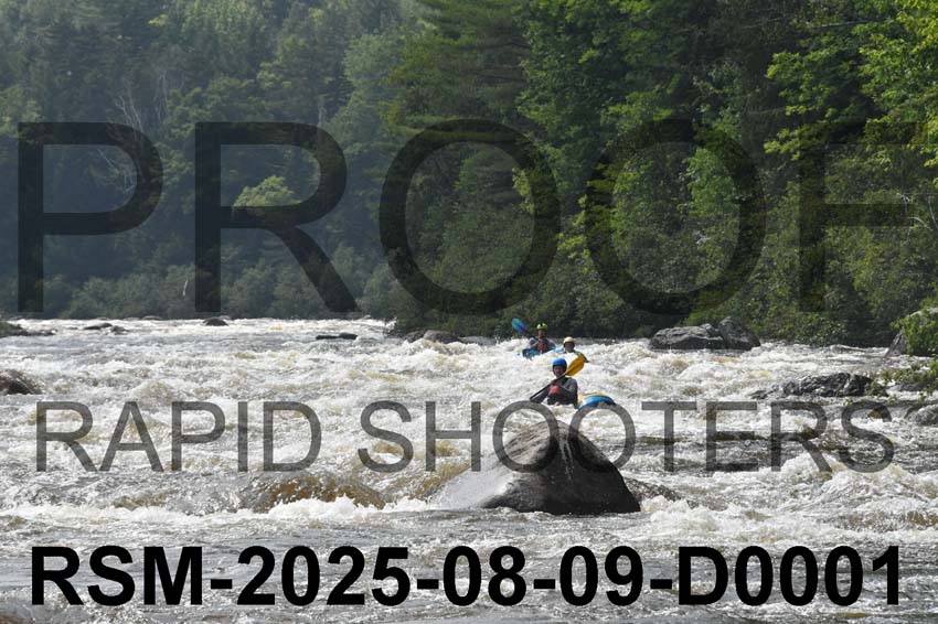 RSM-2025-08-09-D0001