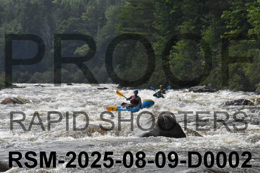 RSM-2025-08-09-D0002