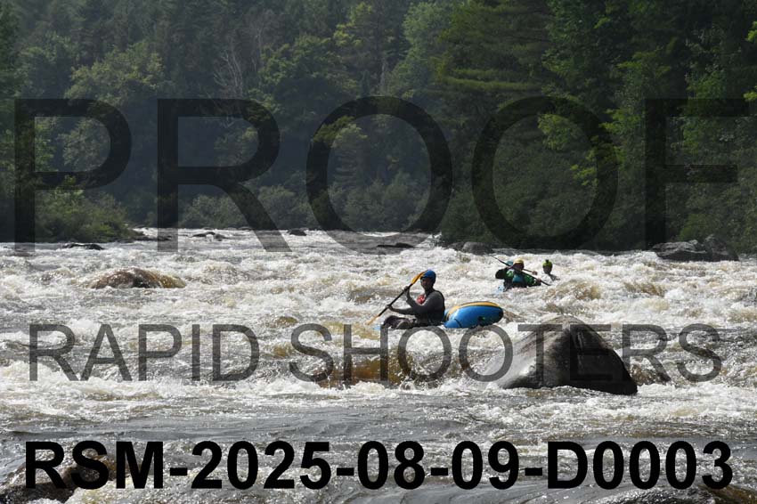 RSM-2025-08-09-D0003