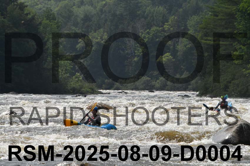 RSM-2025-08-09-D0004
