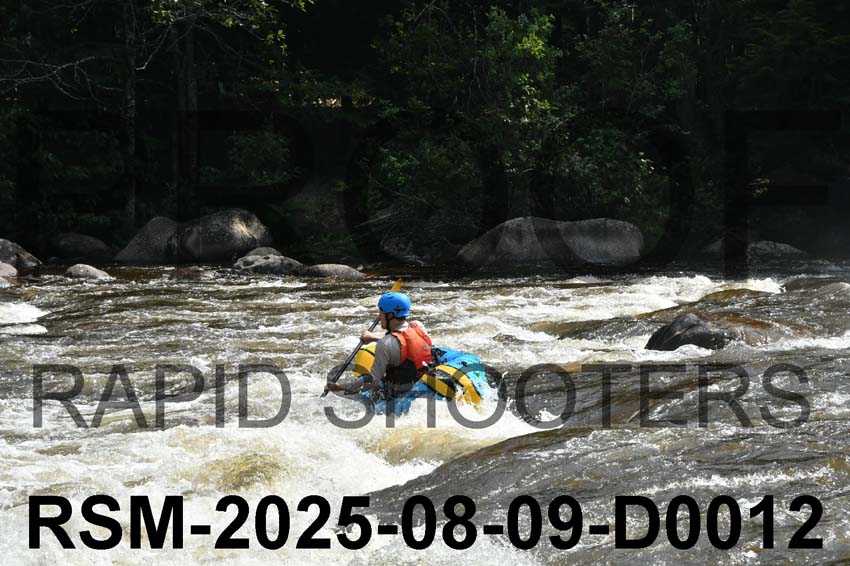 RSM-2025-08-09-D0012