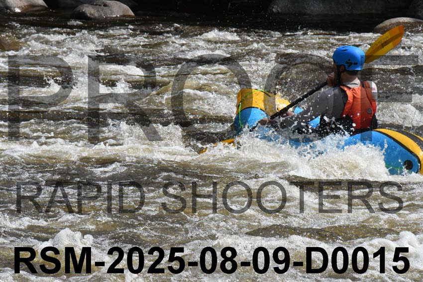 RSM-2025-08-09-D0015