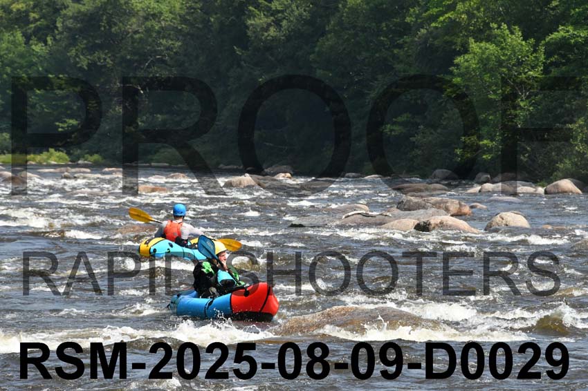 RSM-2025-08-09-D0029