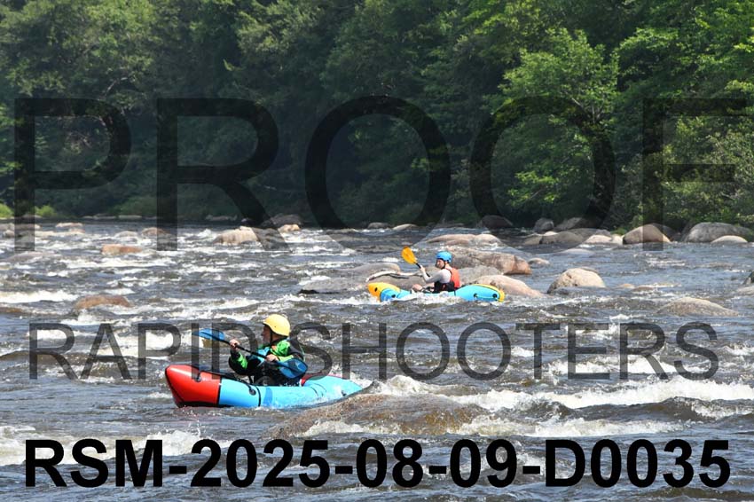RSM-2025-08-09-D0035