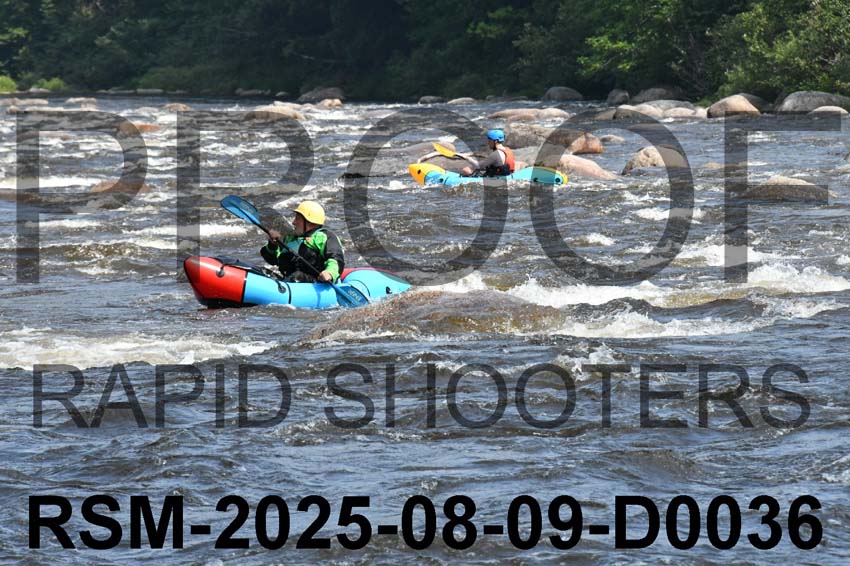 RSM-2025-08-09-D0036