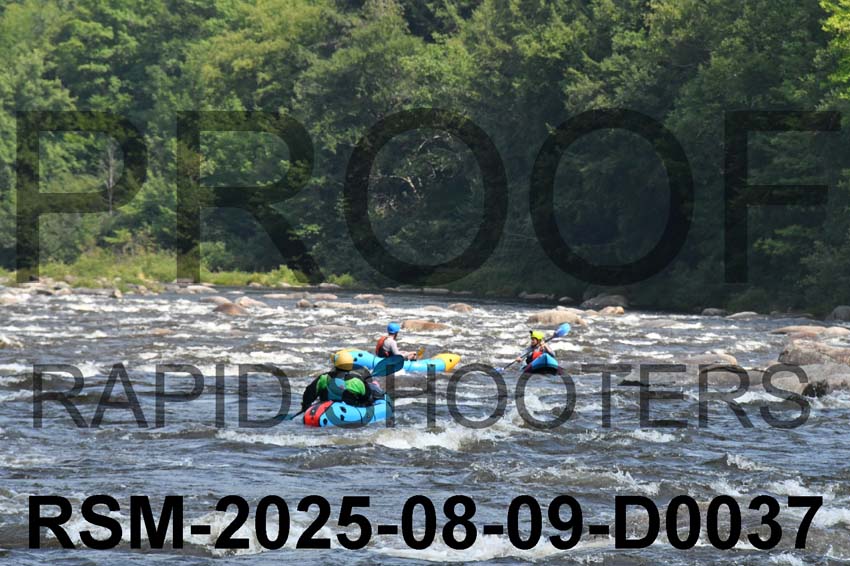 RSM-2025-08-09-D0037