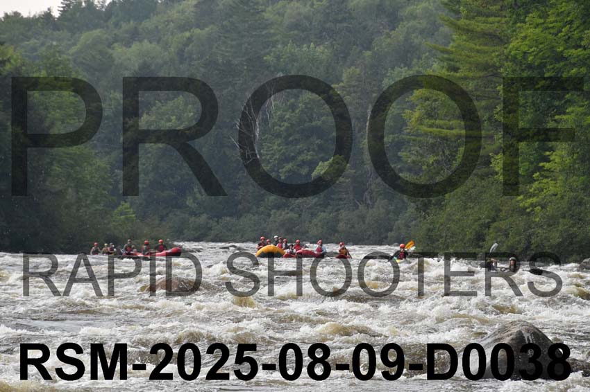 RSM-2025-08-09-D0038