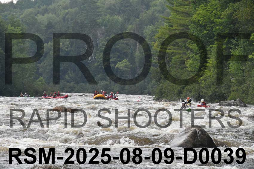 RSM-2025-08-09-D0039