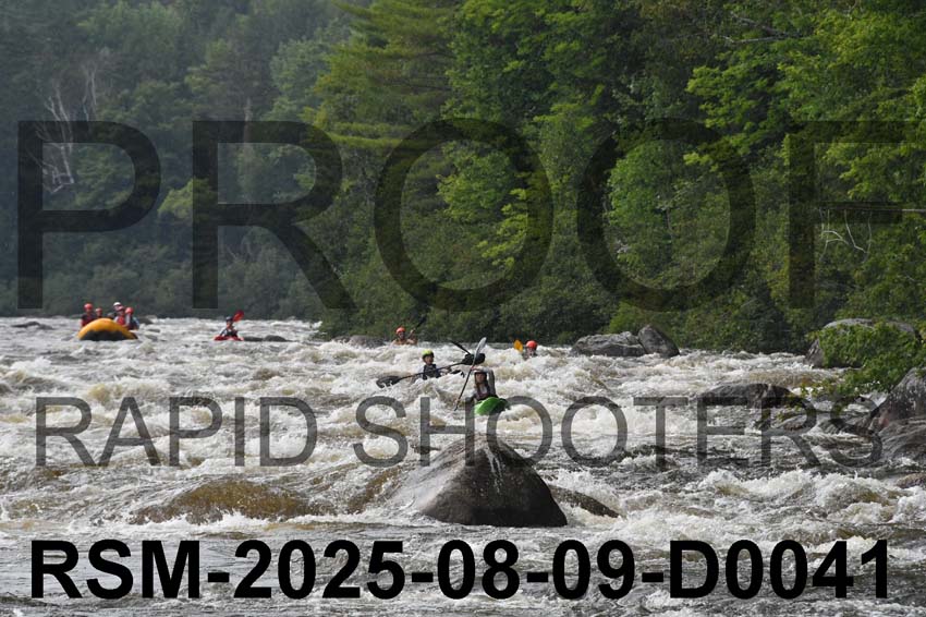 RSM-2025-08-09-D0041