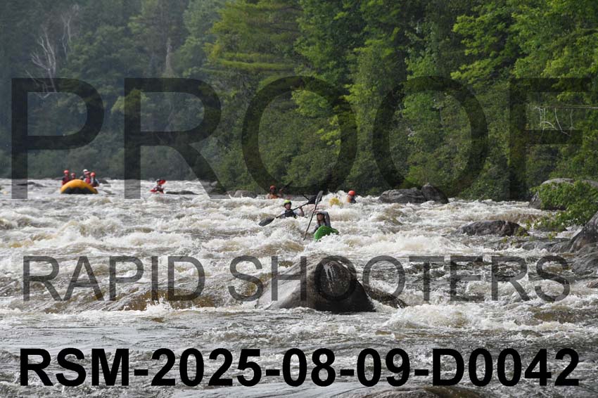 RSM-2025-08-09-D0042