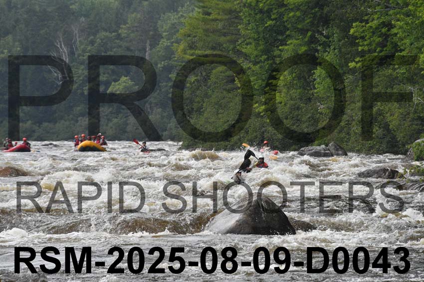 RSM-2025-08-09-D0043