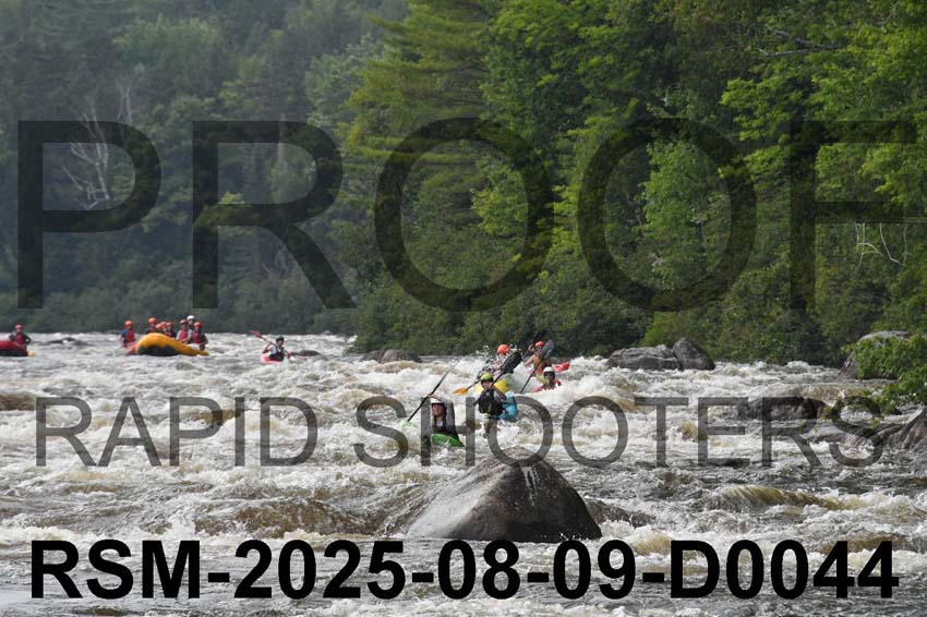 RSM-2025-08-09-D0044