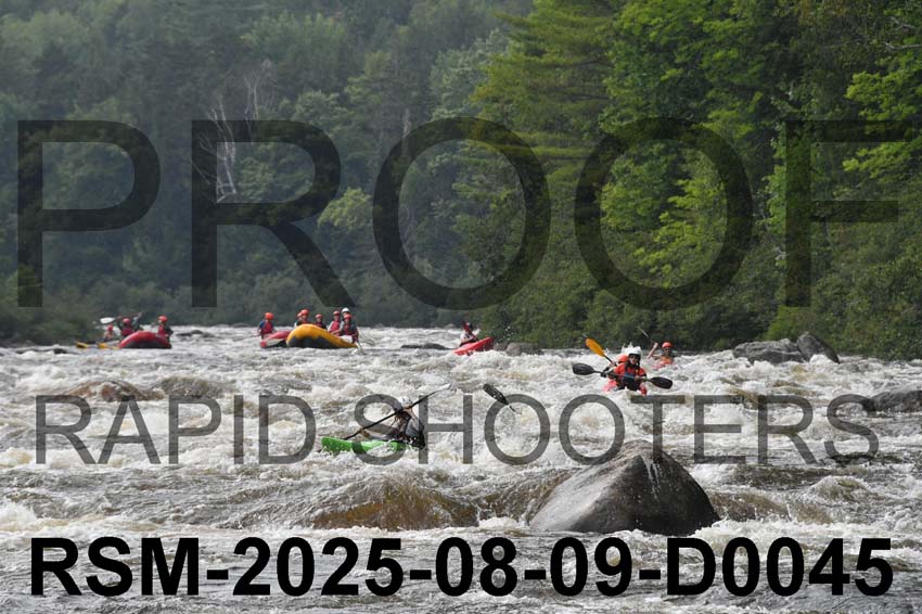 RSM-2025-08-09-D0045
