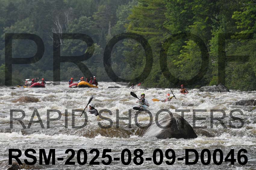 RSM-2025-08-09-D0046