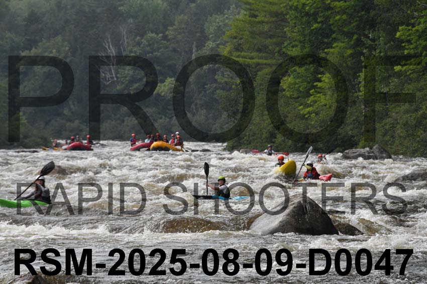 RSM-2025-08-09-D0047