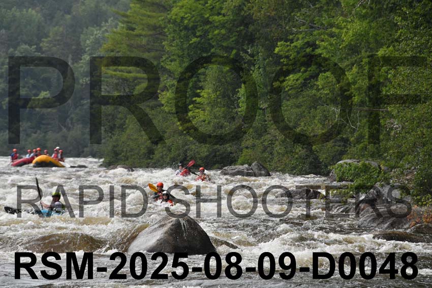 RSM-2025-08-09-D0048