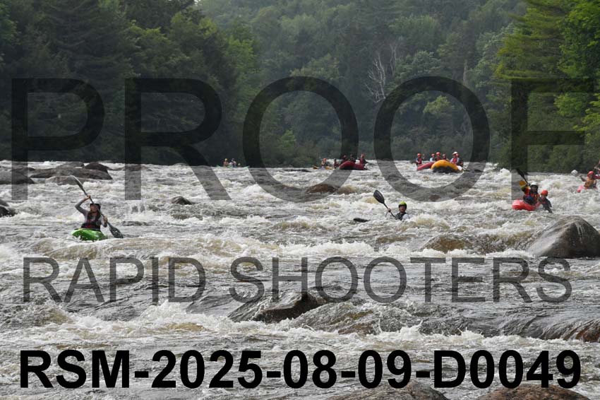 RSM-2025-08-09-D0049
