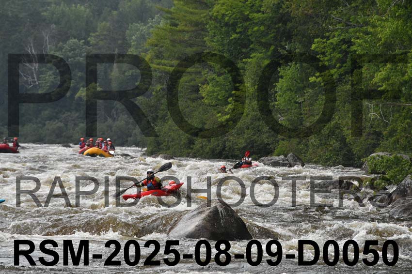 RSM-2025-08-09-D0050