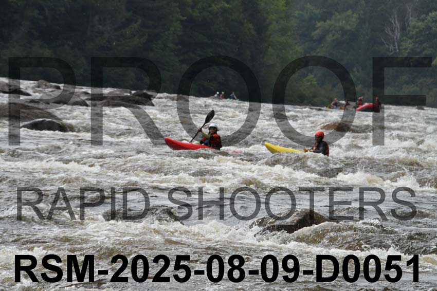 RSM-2025-08-09-D0051