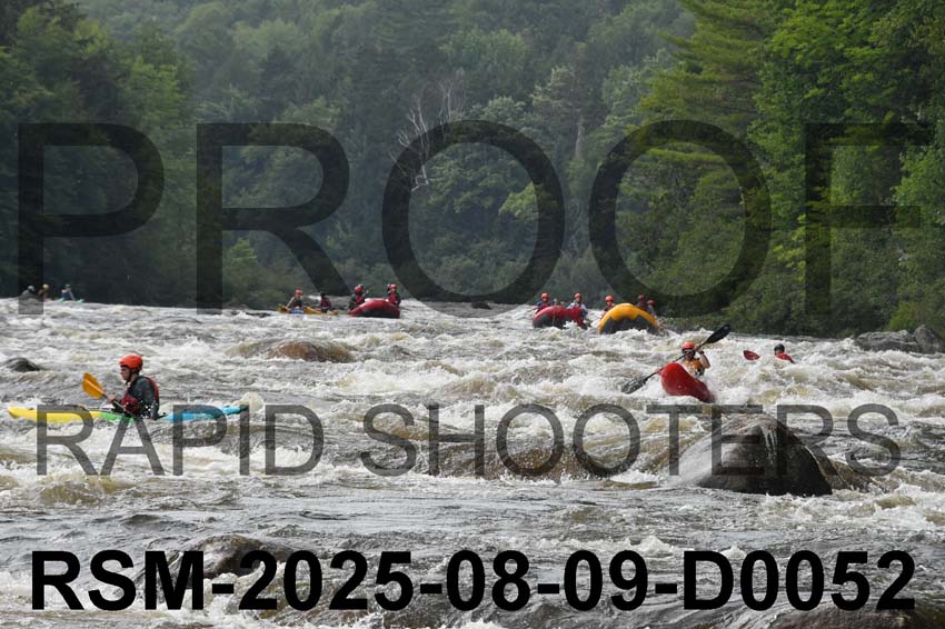 RSM-2025-08-09-D0052