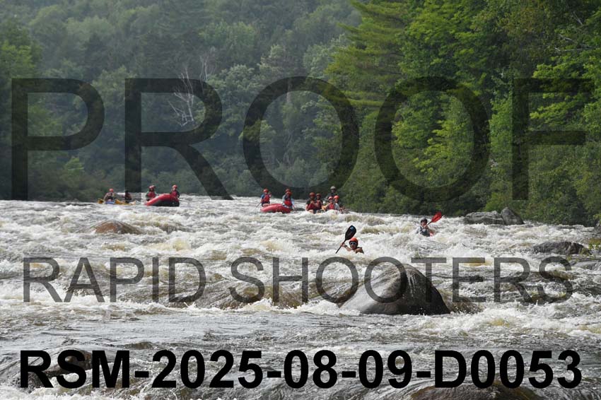 RSM-2025-08-09-D0053