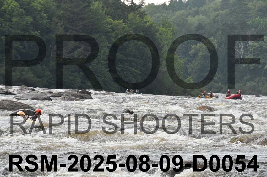 RSM-2025-08-09-D0054