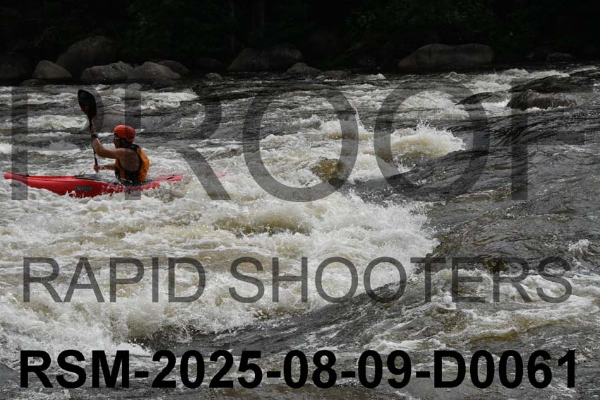 RSM-2025-08-09-D0061