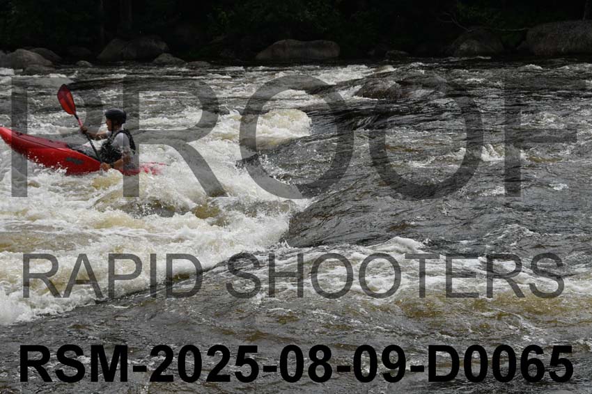 RSM-2025-08-09-D0065