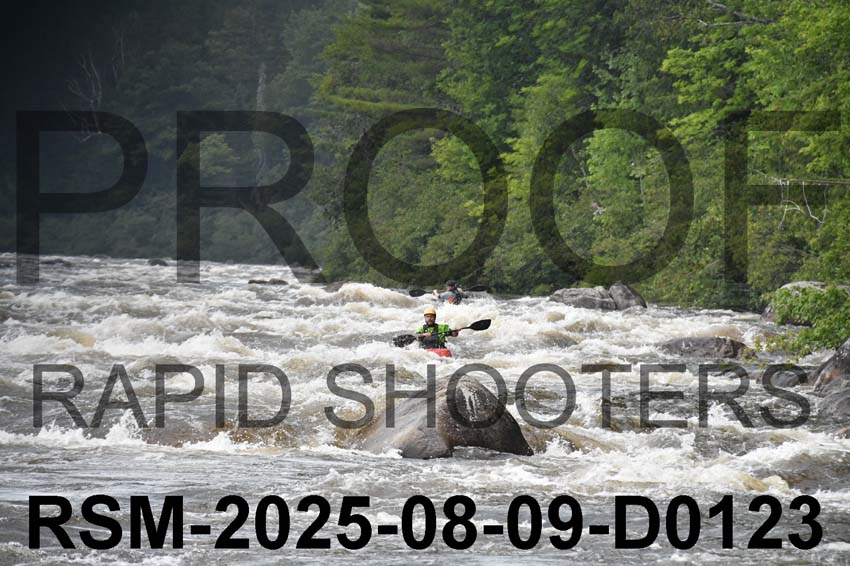 RSM-2025-08-09-D0123