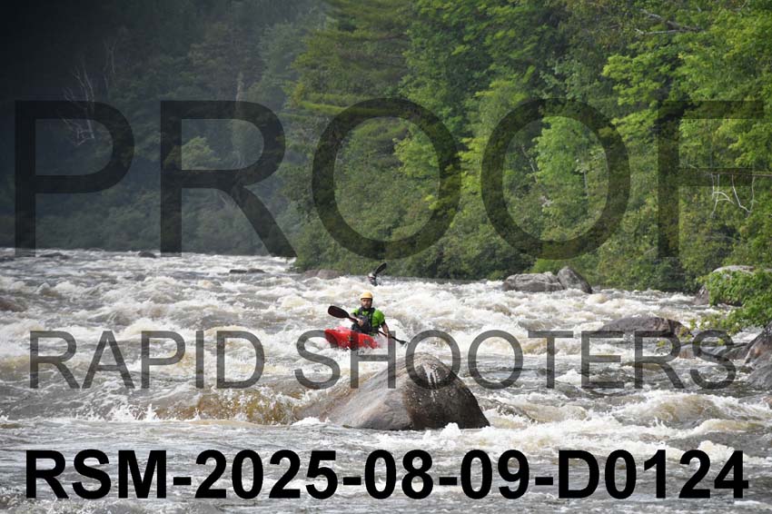 RSM-2025-08-09-D0124