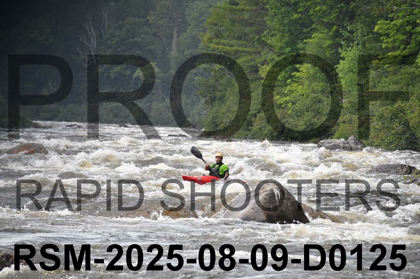 RSM-2025-08-09-D0125