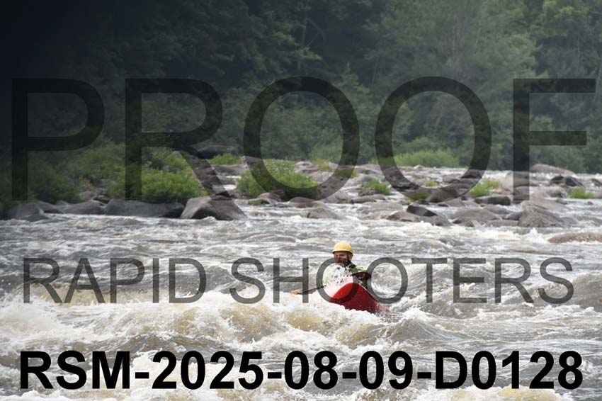 RSM-2025-08-09-D0128