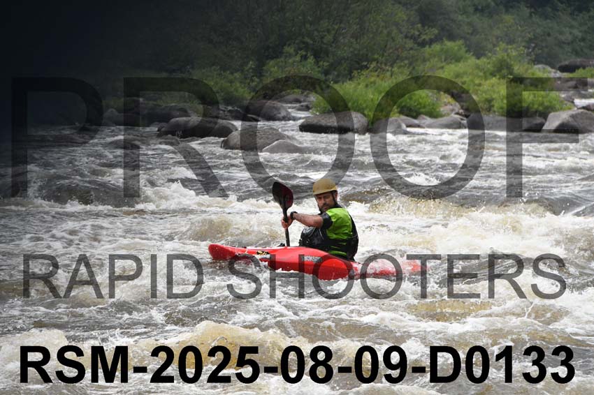 RSM-2025-08-09-D0133