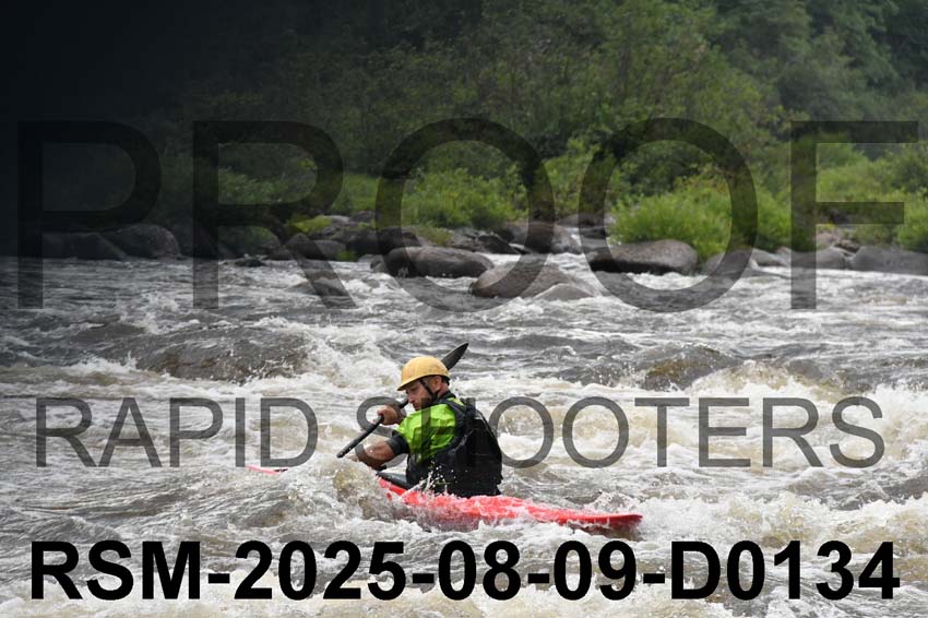 RSM-2025-08-09-D0134