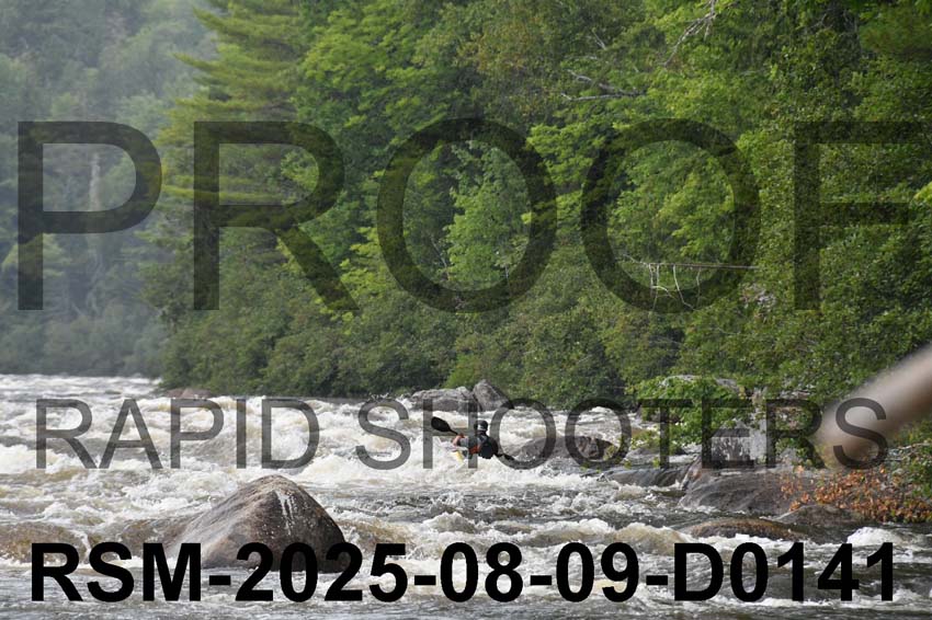 RSM-2025-08-09-D0141
