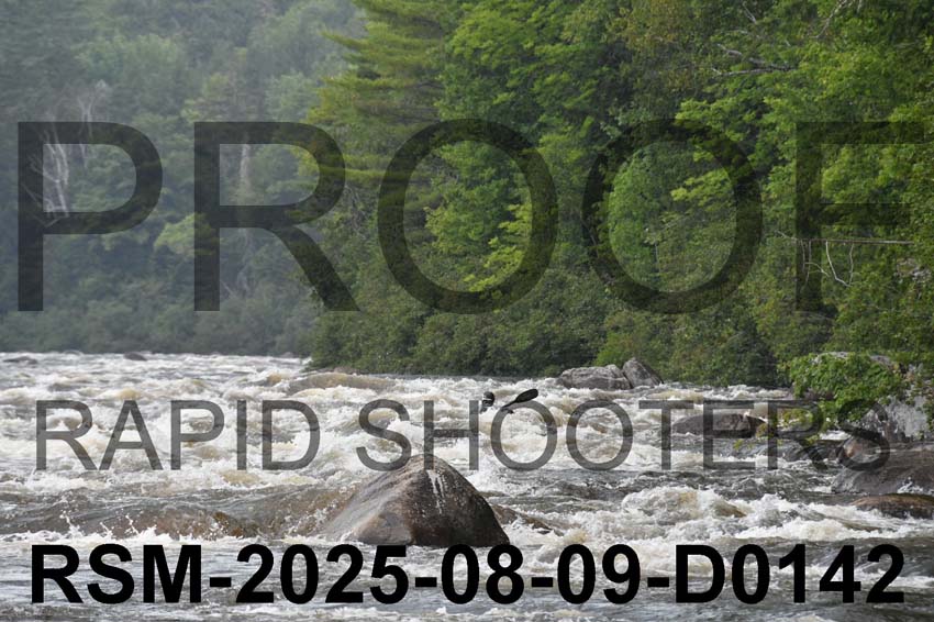 RSM-2025-08-09-D0142
