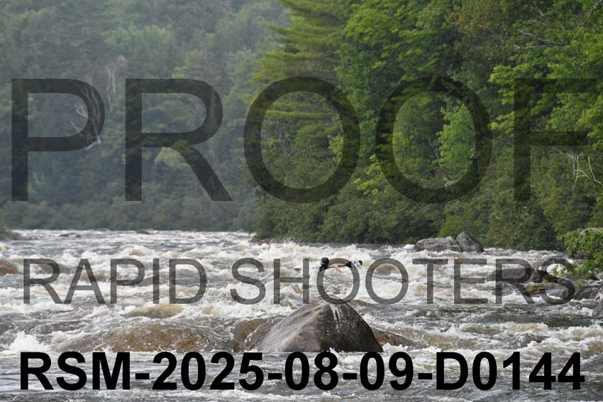 RSM-2025-08-09-D0144