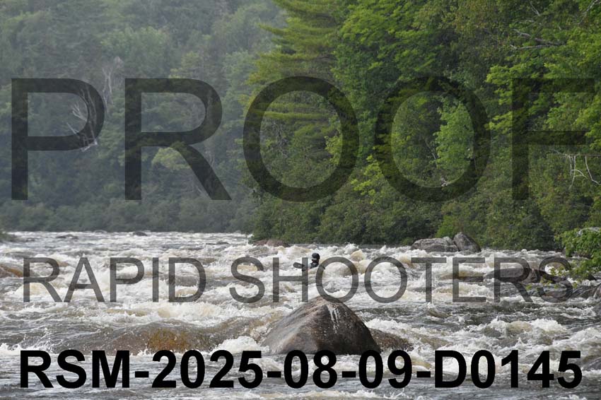 RSM-2025-08-09-D0145